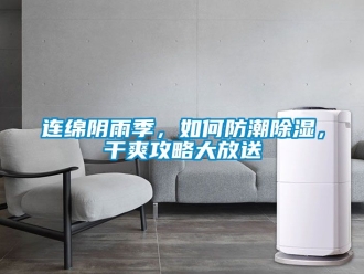 常見問題連綿陰雨季，如何防潮除濕，干爽攻略大放送
