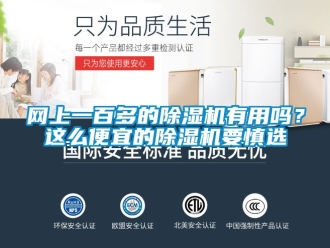 行業新聞網上一百多的除濕機有用嗎？這么便宜的除濕機要慎選