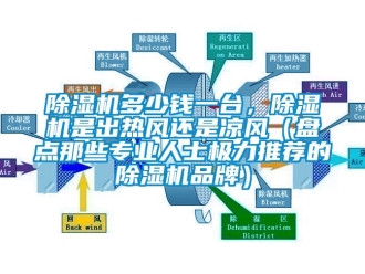 企業新聞除濕機多少錢一臺，除濕機是出熱風還是涼風（盤點那些專業人士極力推薦的除濕機品牌）