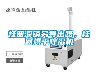 行業新聞桂圓滯銷另尋出路，桂圓烘干除濕機