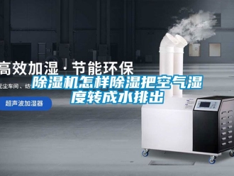 行業新聞除濕機怎樣除濕把空氣濕度轉成水排出