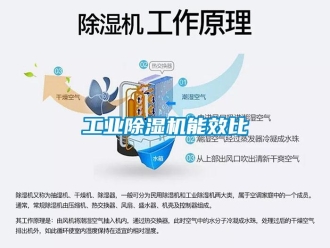 企業新聞工業除濕機能效比