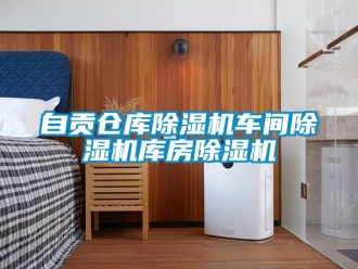 企業(yè)新聞自貢倉庫除濕機(jī)車間除濕機(jī)庫房除濕機(jī)