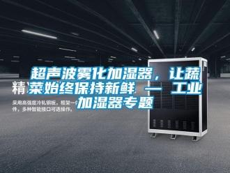 企業新聞超聲波霧化加濕器，讓蔬菜始終保持新鮮 — 工業加濕器專題