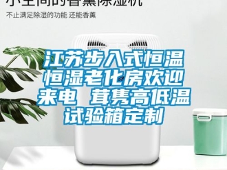 知識(shí)百科江蘇步入式恒溫恒濕老化房歡迎來電 茸雋高低溫試驗(yàn)箱定制