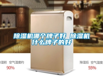 行業新聞除濕機哪個牌子好 除濕機什么牌子的好