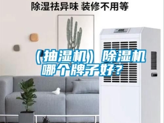 新聞資訊（抽濕機）除濕機哪個牌子好？