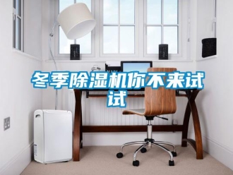 企業(yè)新聞冬季除濕機(jī)你不來試試