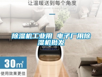 常見問題除濕機工業用 電子廠用除濕機批發