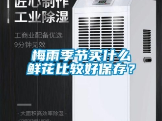 行業新聞梅雨季節買什么鮮花比較好保存？