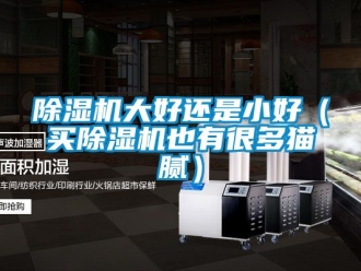 企業新聞除濕機大好還是小好（買除濕機也有很多貓膩）