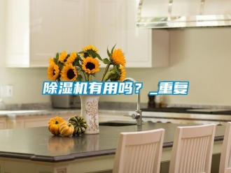 行業新聞除濕機有用嗎？_重復