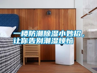 知識百科一樓防潮除濕小妙招，讓你告別潮濕煩惱
