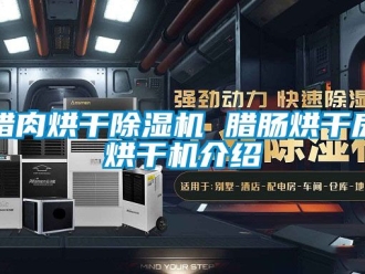 行業新聞臘肉烘干除濕機 臘腸烘干房烘干機介紹