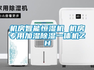 知識(shí)百科機(jī)房智能恒濕機(jī) 機(jī)房專用加濕除濕一體機(jī)ZH