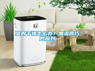 常見問題室內干燥怎么辦？加濕器巧妙應對