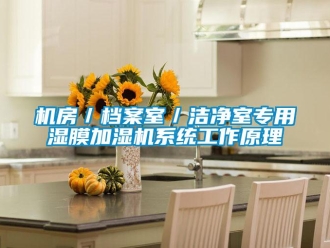 行業(yè)新聞機(jī)房／檔案室／潔凈室專用濕膜加濕機(jī)系統(tǒng)工作原理