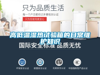 常見問題高低溫濕熱試驗箱的日常維護(hù)知識
