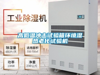 常見問題高低溫沖擊試驗箱環境濕熱老化試驗機