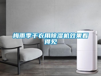 行業新聞梅雨季干衣用除濕機效果看得見