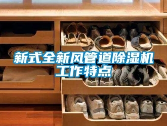 知識百科新式全新風管道除濕機工作特點