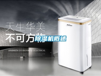 行業新聞除濕機概述