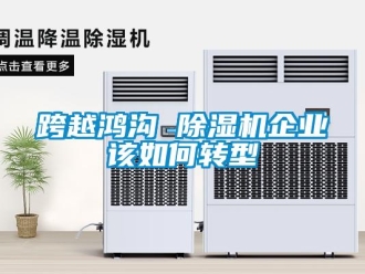 常見(jiàn)問(wèn)題跨越鴻溝 除濕機(jī)企業(yè)該如何轉(zhuǎn)型