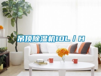 企業新聞吊頂除濕機10L／H