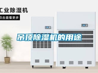 企業新聞吊頂除濕機的用途
