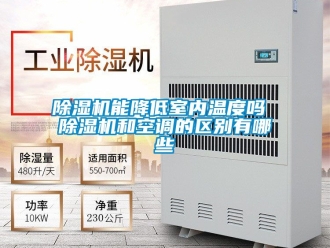 行業(yè)新聞除濕機(jī)能降低室內(nèi)溫度嗎 除濕機(jī)和空調(diào)的區(qū)別有哪些