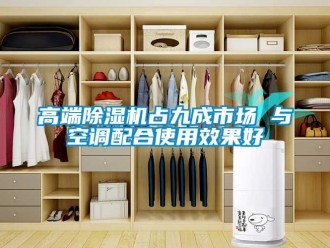 行業(yè)新聞高端除濕機(jī)占九成市場(chǎng) 與空調(diào)配合使用效果好