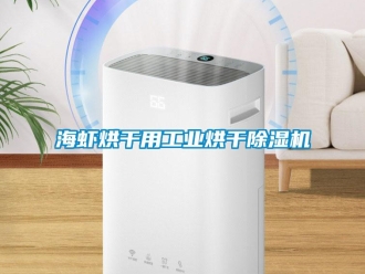 行業新聞海蝦烘干用工業烘干除濕機