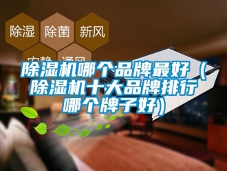 企業(yè)新聞除濕機哪個品牌最好（除濕機十大品牌排行哪個牌子好）