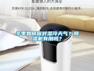 常見(jiàn)問(wèn)題冬季如何應(yīng)對(duì)濕冷天氣？除濕機(jī)有用嗎？