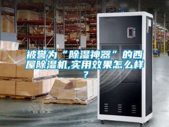 企業新聞被譽為“除濕神器”的西屋除濕機,實用效果怎么樣？