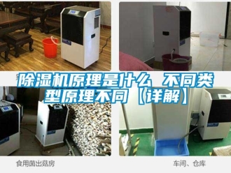 行業(yè)新聞除濕機(jī)原理是什么 不同類(lèi)型原理不同【詳解】