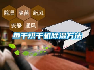 行業(yè)新聞魚(yú)干烘干機(jī)除濕方法