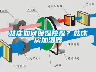 常見問題菇床如何保濕控濕？菇床房加濕器