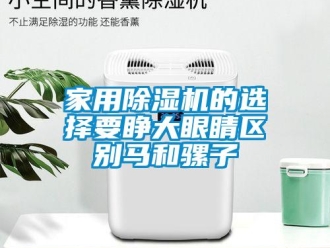 行業新聞家用除濕機的選擇要睜大眼睛區別馬和騾子
