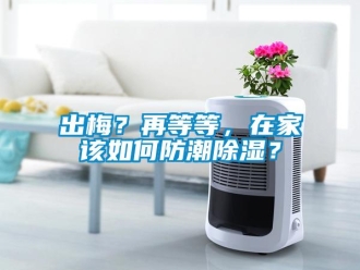 常見問題出梅？再等等，在家該如何防潮除濕？