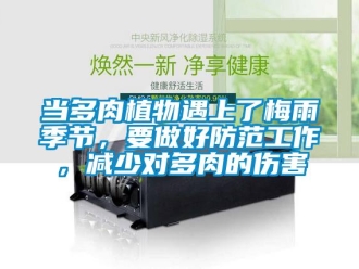 企業(yè)新聞當(dāng)多肉植物遇上了梅雨季節(jié)，要做好防范工作，減少對多肉的傷害
