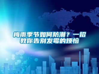 常見問題梅雨季節如何防潮？一招教你告別發霉的煩惱