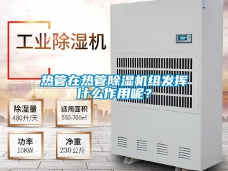 行業新聞熱管在熱管除濕機組發揮什么作用呢？