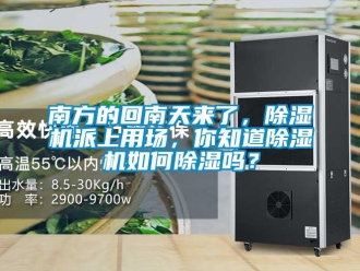 常見問題南方的回南天來了，除濕機派上用場，你知道除濕機如何除濕嗎？