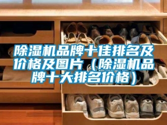 企業新聞除濕機品牌十佳排名及價格及圖片（除濕機品牌十大排名價格）
