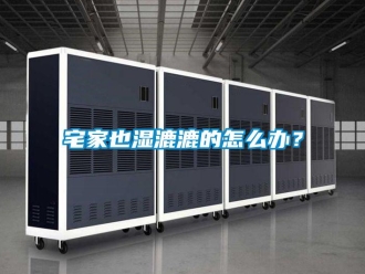 常見問題宅家也濕漉漉的怎么辦？