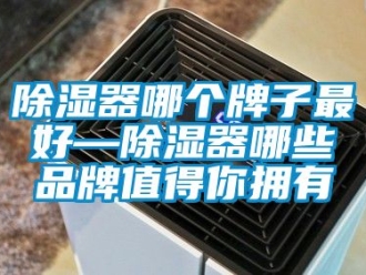 行業新聞除濕器哪個牌子最好—除濕器哪些品牌值得你擁有