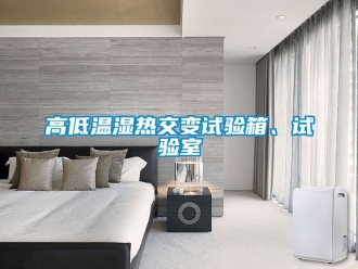 常見問題高低溫濕熱交變試驗箱、試驗室