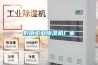 黔南工業除濕機廠家