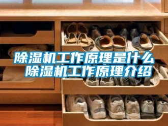 行業(yè)新聞除濕機工作原理是什么 除濕機工作原理介紹